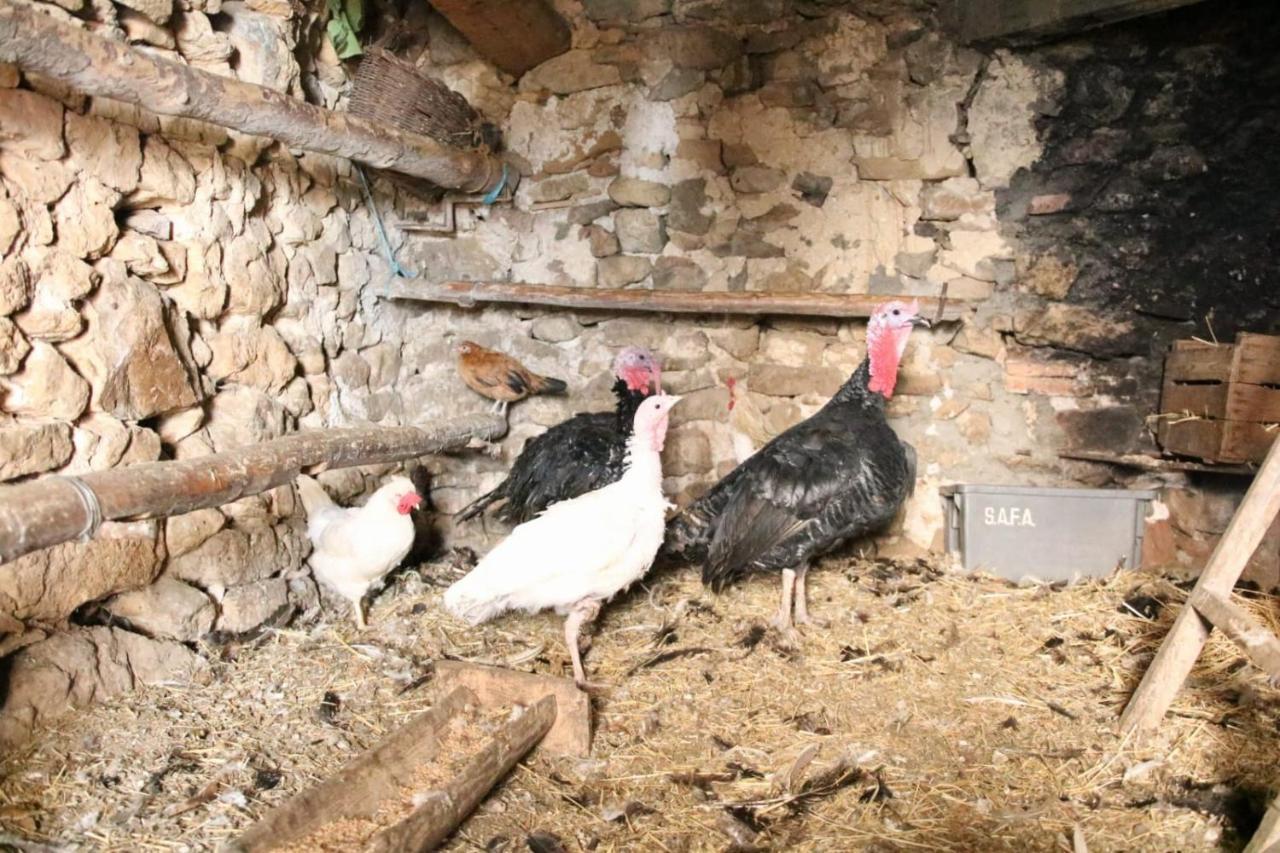 Casa Rural Amador Villarroya de los Pinares Eksteriør bilde